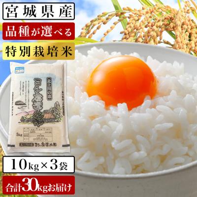 ふるさと納税 石巻市 令和5年産 ヨシ腐葉土米 特別栽培米 精米30kg(10kg×3袋)ササニシキ