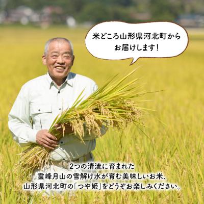 【ほぼ未使用】 ふるさと納税 河北町 【令和5年産米】2023年12月上旬スタート つや姫120kg(20kg×6ヶ月)定期便 山形県産 【F2088392764】(76120円)