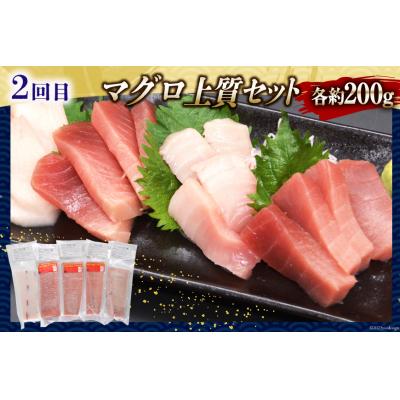ふるさと納税 気仙沼市 かに いくら マグロ!豪華海鮮定期便 《3ヶ月毎月お届け》 [宮城県 気仙沼市 20564517]_2