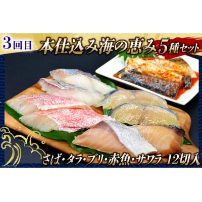 ふるさと納税 気仙沼市 かに いくら マグロ!豪華海鮮定期便 《3ヶ月毎月お届け》 [宮城県 気仙沼市 20564517]_3