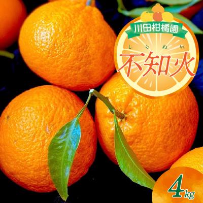 ふるさと納税 呉市 [2026年2月中旬〜発送]川田柑橘園 「不知火(しらぬい)」4kg ku055-008-25