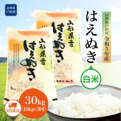 ふるさと納税 戸沢村 令和5年産 山形県戸沢村 はえぬき [白米] 30kg定期便 (10kg×3回)