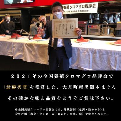 ふるさと納税 大月町 【定期便 6回】日本一!黒潮本まぐろ 大トロ・中トロ・赤身 交互