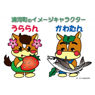 ふるさと納税 浦河町 北海道浦河町オリジナルグッズ☆オールスターセット[50-1304]_2