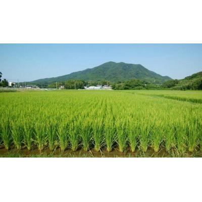 25【新品未使用】 ふるさと納税 宗像市 【定期便/年10回】栽培期間中農薬不使用の白米「3種の特別栽培米」 5kg×10回_PB0119 【DGJ1530078727】(55770円)