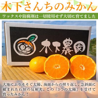 ふるさと納税 西予市 <木下さんちのみかん 良品 約5kg>(S〜Lサイズ混合)柑橘類 温州みかん うんしゅうみかん |  | 01