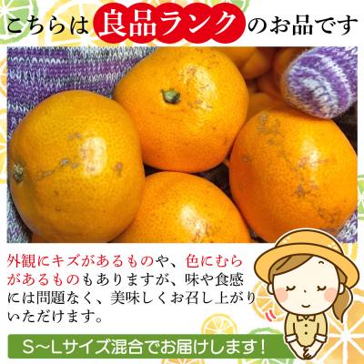ふるさと納税 西予市 <木下さんちのみかん 良品 約5kg>(S〜Lサイズ混合)柑橘類 温州みかん うんしゅうみかん |  | 02