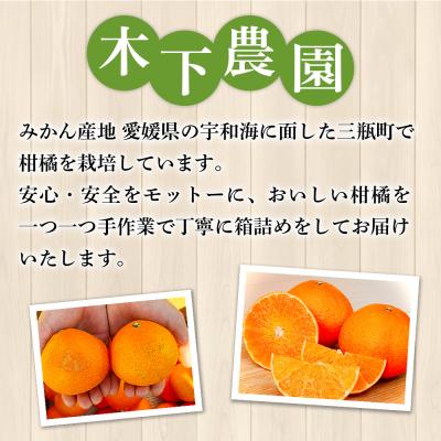 ふるさと納税 西予市 <木下さんちのみかん 良品 約5kg>(S〜Lサイズ混合)柑橘類 温州みかん うんしゅうみかん |  | 03