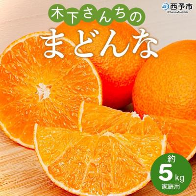 ふるさと納税 西予市 &lt;木下さんちのまどんな 約5kg 家庭用&gt; 柑橘類 みかん ミカン 果物 くだもの フルーツ 不揃い
