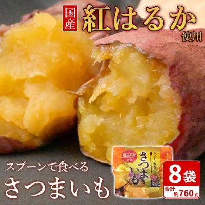 ふるさと納税 薩摩川内市 スプーンで食べるさつまいも 小分け焼き芋 8袋 約760g ZS-661