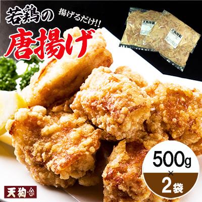 ふるさと納税 下呂市 若鶏の唐揚げ用(揚げるだけ)500g(約2〜3人前)×2袋 (1kg)[冷凍][11-88]