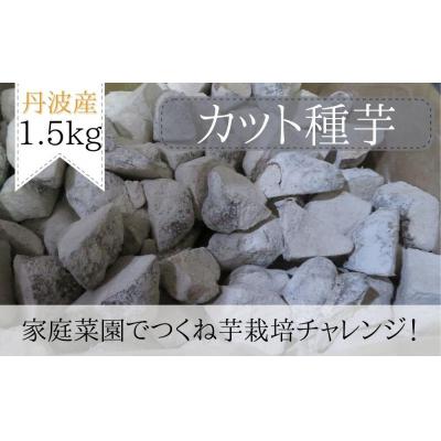 ふるさと納税 京都市 [芋家なか吉]後は植えるだけ カット種芋 1,5kg 丹波山の芋