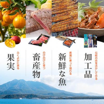 ⭐公式品⭐ ふるさと納税 肝付町 肝付町セレクト定期便《ふるさと旬の味覚Aセット》【月指定・全12回】　E44006 【AAA2666728562】(97200円)