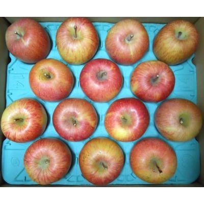 ふるさと納税 上山市 りんご(ふじ)5kg ご家庭用 0017-2630 : さとふる