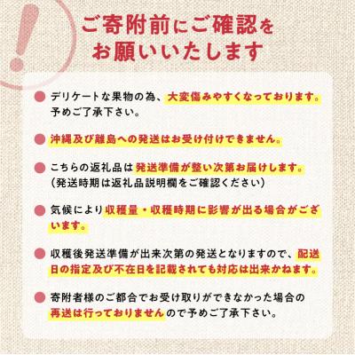 ふるさと納税 余市町 【2024年11月下旬以降発送分先行受付】りんご (ふじ)  5kg_Y010-0018｜y-sf｜02