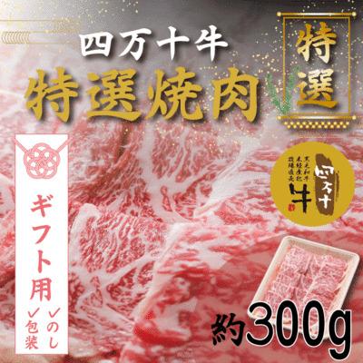 ふるさと納税 四万十市 [ギフト用(包装・のし対応)]焼肉四万十牛特選(約300g)