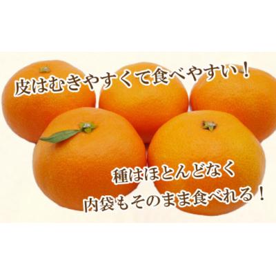 ふるさと納税 愛南町 【高評価 ★4.7】 訳あり 愛媛みかん 5kg 温州みかん ミカン 愛南町 愛媛県 吉田農園 |  | 01