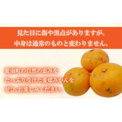 ふるさと納税 愛南町 【高評価 ★4.7】 訳あり 愛媛みかん 5kg 温州みかん ミカン 愛南町 愛媛県 吉田農園 |  | 02