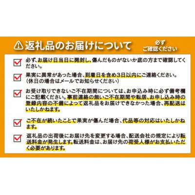 ふるさと納税 愛南町 【高評価 ★4.7】 訳あり 愛媛みかん 5kg 温州みかん ミカン 愛南町 愛媛県 吉田農園 |  | 03