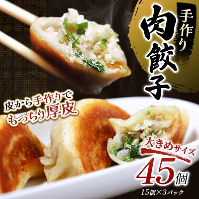 ふるさと納税 釧路市 肉餃子45個(15個×3) 冷凍餃子 ギョーザ ぎょうざ 中華 冷凍食品 惣菜