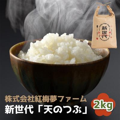 ふるさと納税 南相馬市 天のつぶ 新世代 白米 2kg | 令和7年産 2025年産 精米 米 2キロ 紅梅夢ファーム
