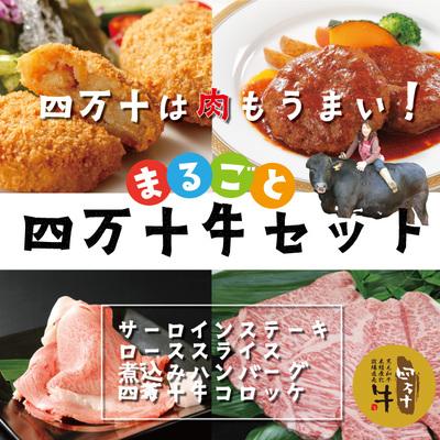 ふるさと納税 四万十市 四万十牛セット(サーロインステーキ・ローススライス・煮込みハンバーグ・四万十牛コロッケ)R5-021