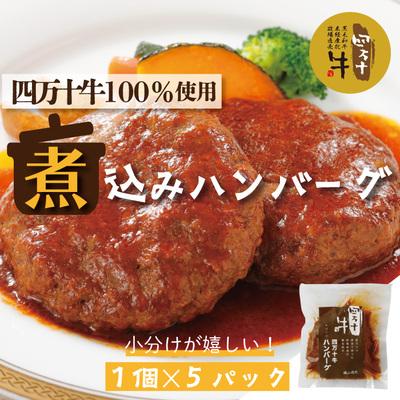 ふるさと納税 四万十市 四万十牛100%使用ジューシーな煮込みハンバーグ5個