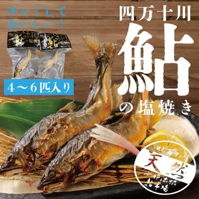 ふるさと納税 四万十市 レンジでチンするだけ!四万十川の天然鮎塩焼き4〜6匹