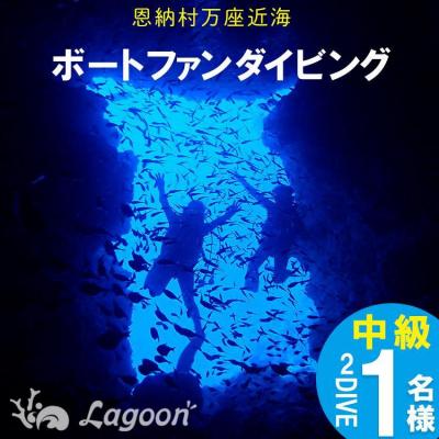 ふるさと納税 恩納村 万座近海ファンダイビング中級2DIVE[恩納村ラグーン]