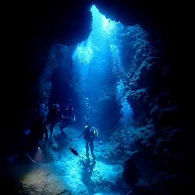 ふるさと納税 恩納村 万座近海ファンダイビング中級2DIVE【恩納村ラグーン】の画像