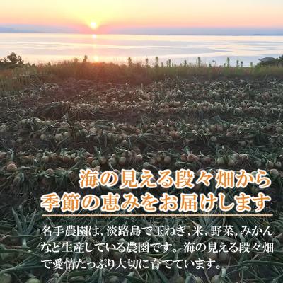 ふるさと納税 淡路市 【新たまねぎ】名手農園の淡路島特産玉ねぎ 5kg an03812の画像