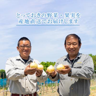 ふるさと納税 淡路市 【新たまねぎ】名手農園の淡路島特産玉ねぎ 5kg an03812の画像