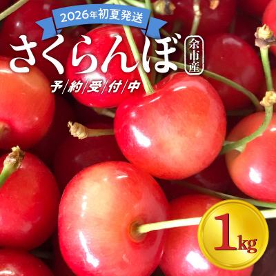 ふるさと納税 余市町 [先行受付:2026年初夏発送]さくらんぼ 東谷農園 余市産 さくらんぼ 1kg