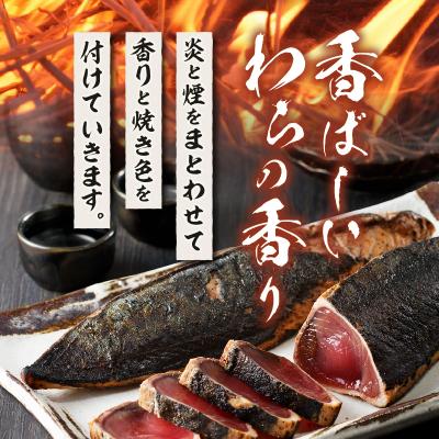 ふるさと納税 焼津市 焼津式 かつおのたたき 鬼わら焼き 1.5kg(a13-146