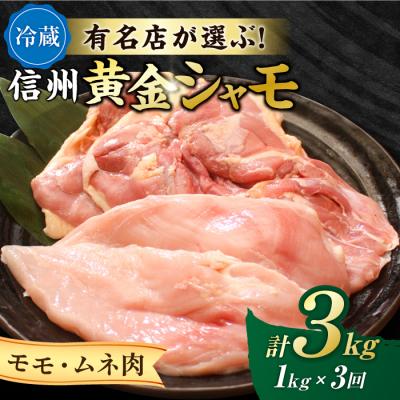 ふるさと納税 東御市 [3回定期便 ]朝びき!信州黄金シャモ モモ・ムネ肉セット (冷蔵)