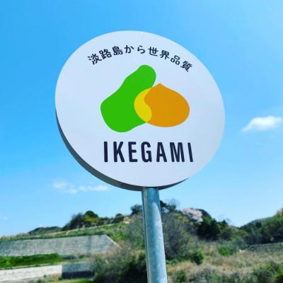 ふるさと納税 淡路市 【新たまねぎ】淡路島 池上農場の「あやたけ」10kg【発送時期3月下旬〜5月頃】 ai03809の画像