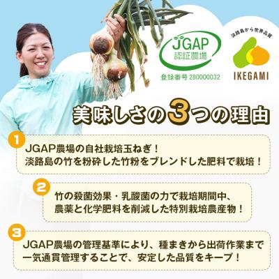 ふるさと納税 淡路市 【新たまねぎ】淡路島 池上農場の「あやたけ」5kg【発送時期3月下旬〜5月頃】 ai03810の画像