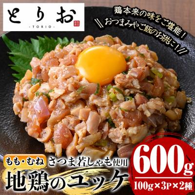 ふるさと納税 いちき串木野市 地鶏のユッケもも・むねセット300g×2