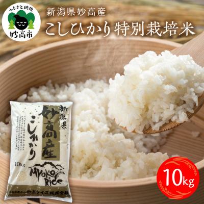ふるさと納税 妙高市 妙高産こしひかり特別栽培米10kg
