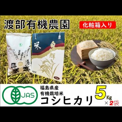 ふるさと納税 南相馬市 ≪先行受付≫コシヒカリ 箱入り 5kg×2袋[11月から順次発送][24005]