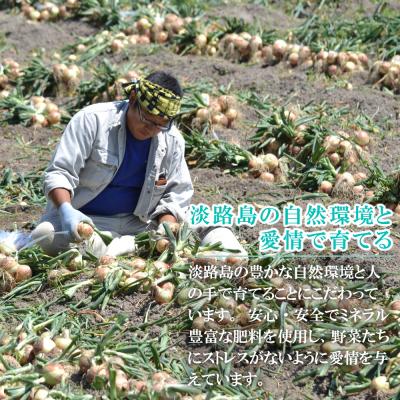 ふるさと納税 淡路市 【新たまねぎ】名手農園の淡路島特産玉ねぎ5kgとお米3kg【2026年3〜5月発送】 an03024の画像