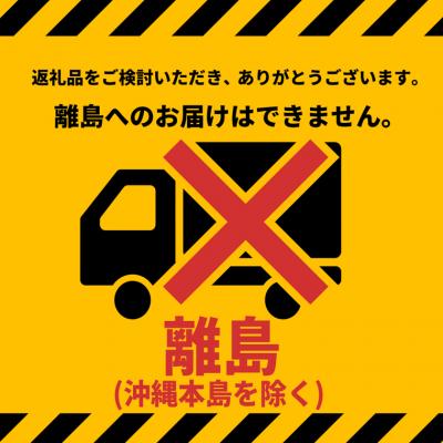 ふるさと納税 境町 Yogibo Pyramid ヨギボー 金字塔 【ともし火薄墨色】