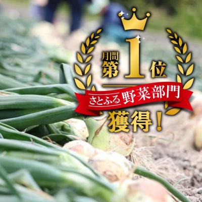 ふるさと納税 南あわじ市 【東中青果】淡路島産玉葱 うずしお追熟甘玉ねぎ 10kgの画像