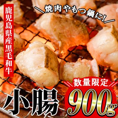 ふるさと納税 いちき串木野市 [数量限定]鹿児島県産 黒毛和牛 小腸 900g(700g+200g)