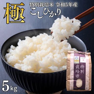 ふるさと納税 三条市 特別栽培米 コシヒカリ「極」 5kg 令和5年産 こしひかり 県認証特栽米