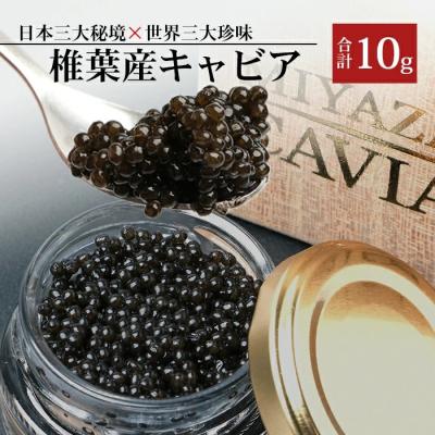 ふるさと納税 椎葉村 [桐箱入り]HEIKE CAVIAR 10g [宮崎県 椎葉村]フレッシュキャビア