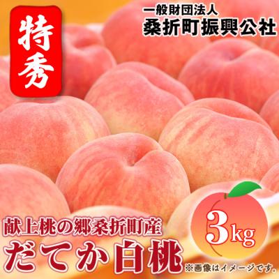 ふるさと納税 桑折町 もも[だてか白桃・2026年産先行受付]特秀3kg(8〜11玉)桑折町振興公社 桃