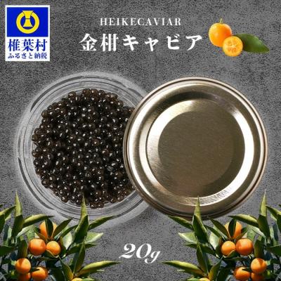 ふるさと納税 椎葉村 世界三大珍味×日本三大秘境]HEIKE CAVIAR 金柑キャビア 20g