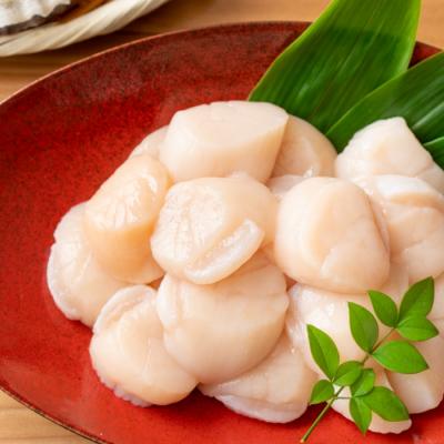 ふるさと納税 根室市 ほたて貝柱300g&amp;トラウトサーモン1〜2P(計600g)