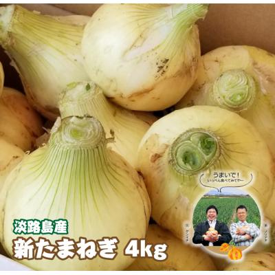 ふるさと納税 淡路市 淡路島産 新たまねぎ 4kg[発送時期:2026年3月〜5月頃]